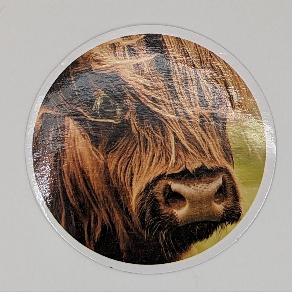 Highland‎ Cow Sticker
